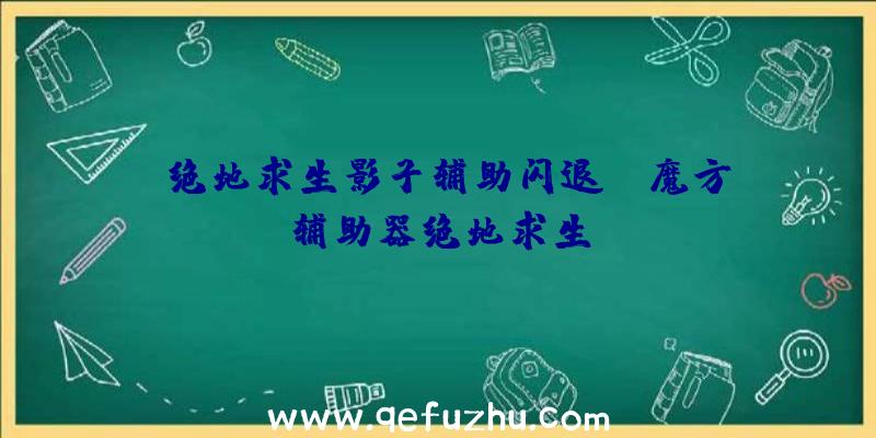 「绝地求生影子辅助闪退」|魔方辅助器绝地求生